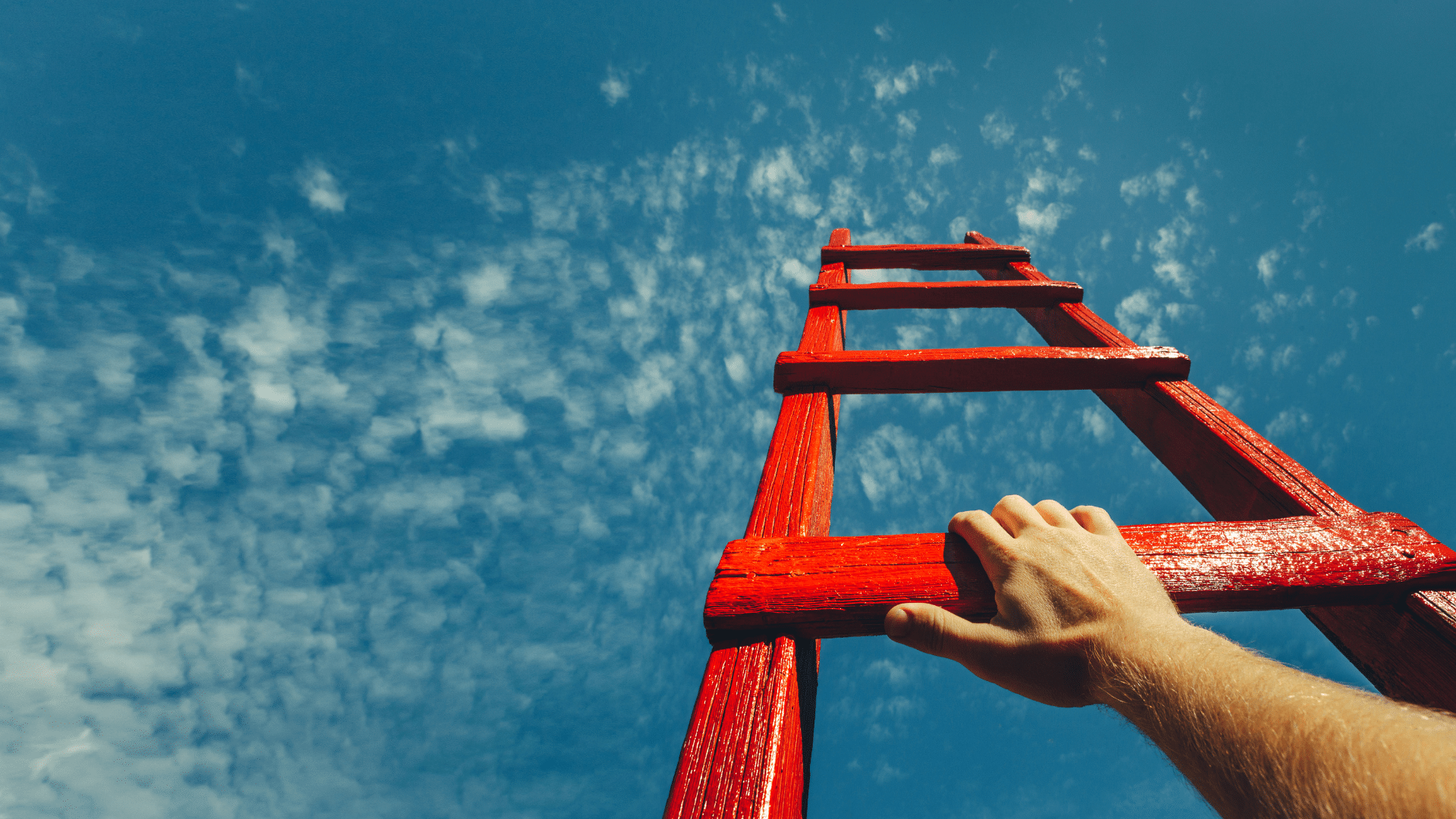 Cyber Security Basic- hero image of hand on a red ladder, against a blue sky.