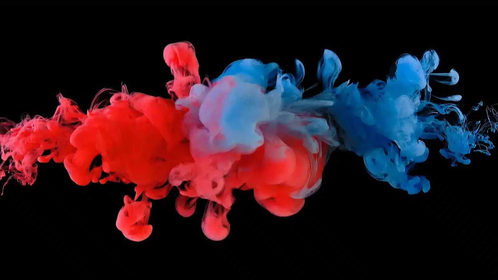 Our Trusted Partner Graphic - blue and red fluid motion