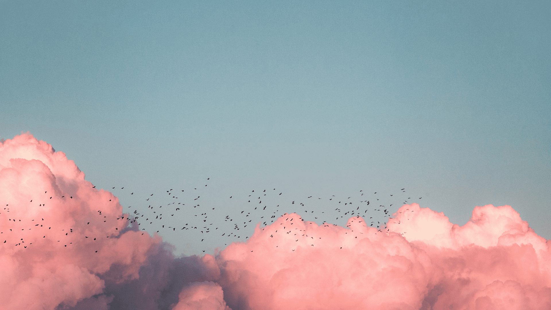Why DIY for large scale cloud migration is not an option