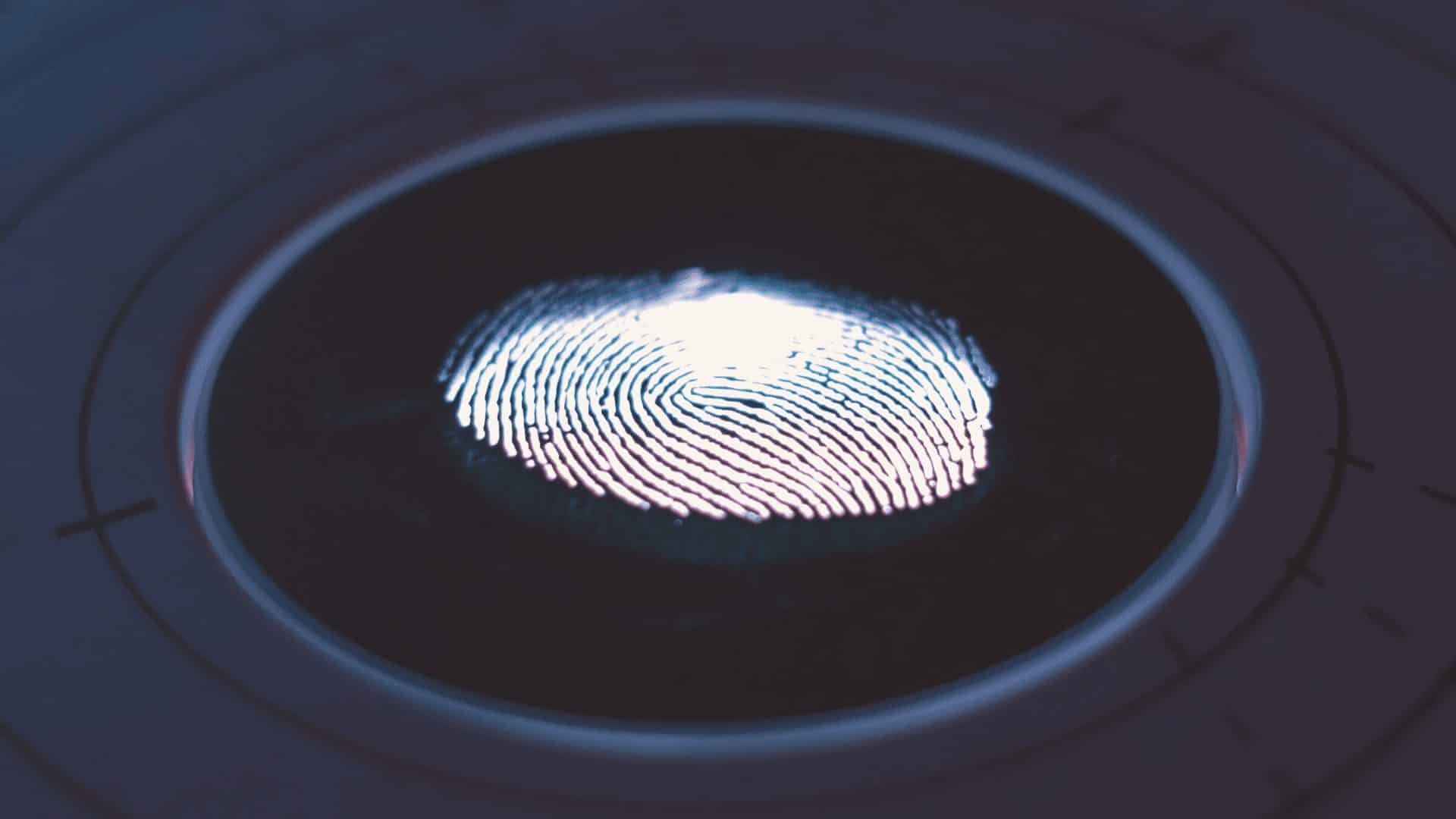 What Do Biometrics Mean for Software Development?