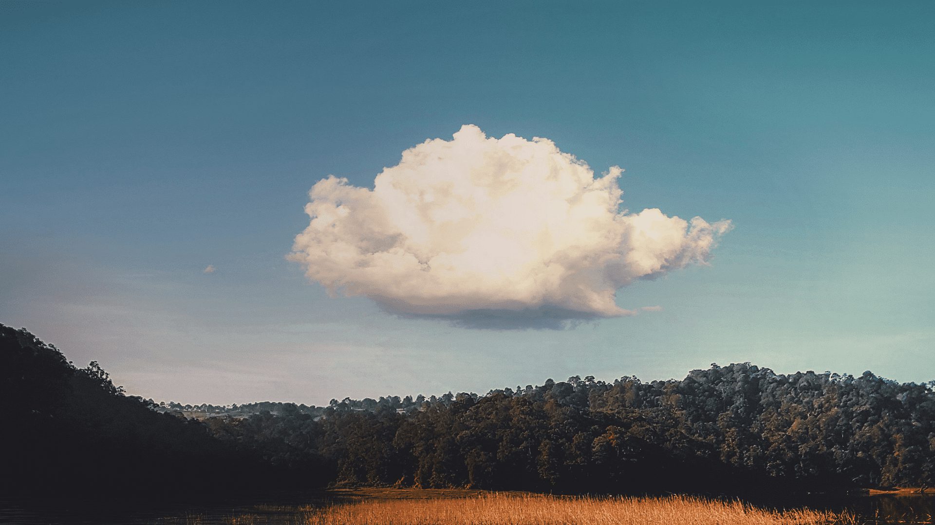 Is Cloud the Answer for the New Employee Generation?