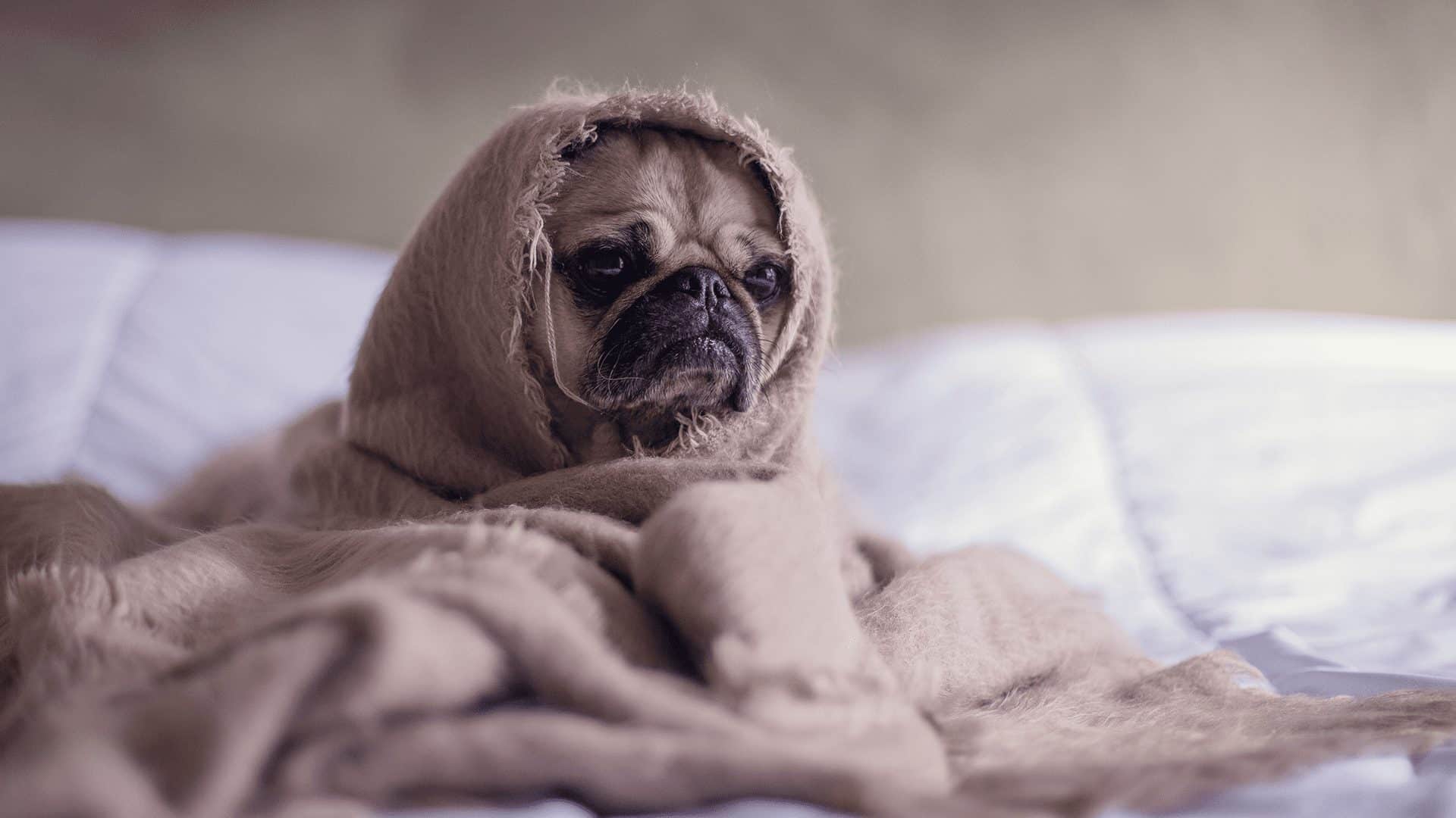 Not happy with your IT provider but worried it will be tricky to move?
