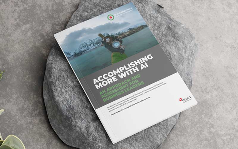 Accomplishing More with AI. A practitioner's guide